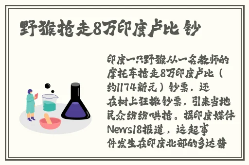 一个人看的日本在线观看
